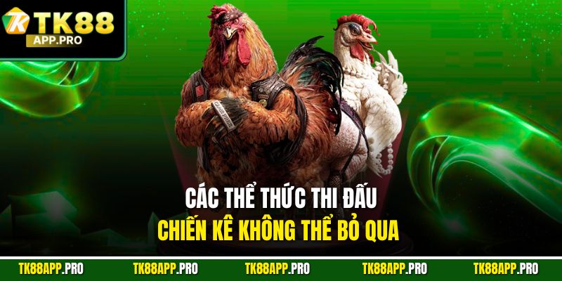 Các thể thức thi đấu chiến kê không thể bỏ qua