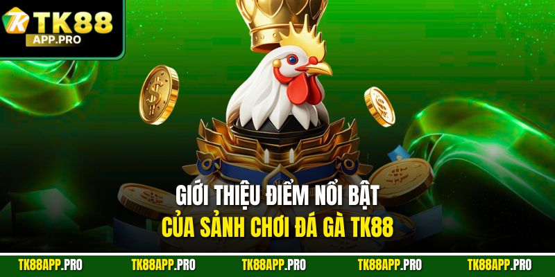 Giới thiệu điểm nổi bật của sảnh chơi đá gà Tk88