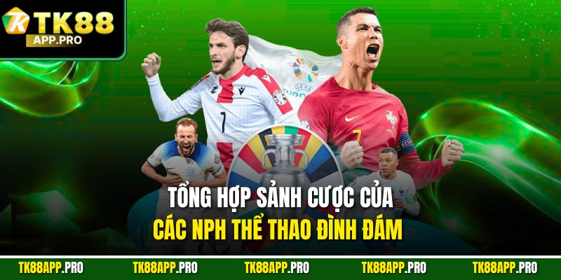 Tổng hợp sảnh cược của các NPH thể thao đình đám 